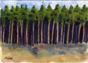 Woods near my house, Watercolor, 5x7in, 2012