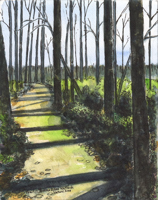 Trail in Smith and Bybee wetlands portland watercolor